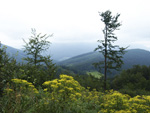 Нажмите для просмотра